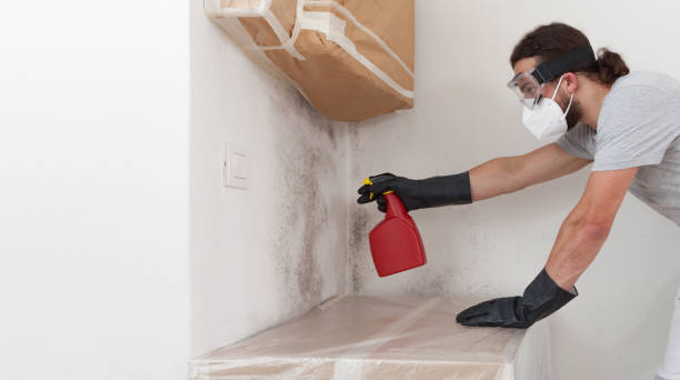 Professional Mold Cleanup technician working in Knightdale, NC