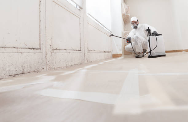 24/7 Emergency Mold Cleanup experts in Knightdale, NC