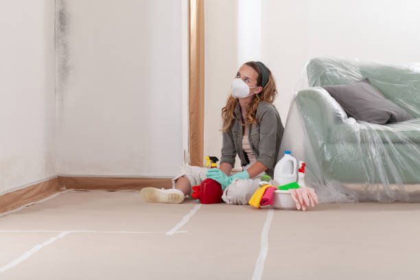 Reliable Mold Cleanup contractor in Knightdale, NC by Cheap Mold Removal