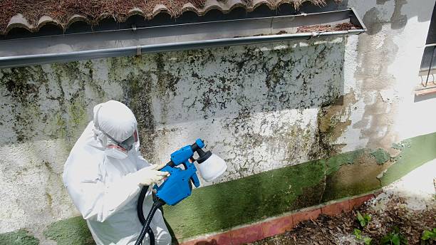 Top rated local Mold Cleanup specialists in Knightdale, NC